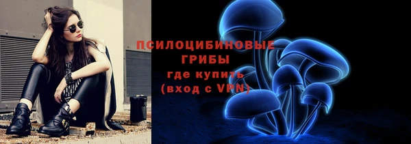 Альфа ПВП Кодинск