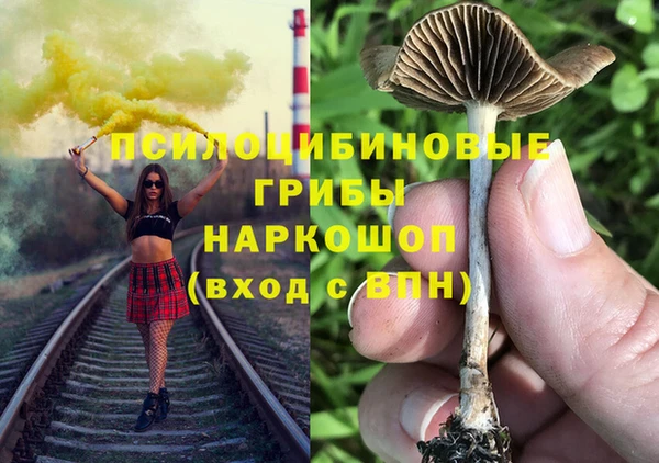 Альфа ПВП Кодинск