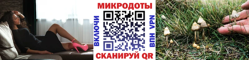 Псилоцибиновые грибы GOLDEN TEACHER  Усолье-Сибирское 